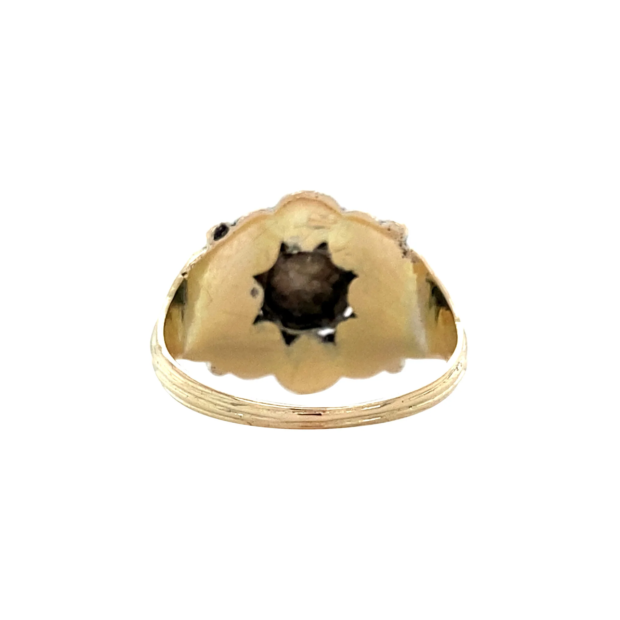 Miniatuur 5